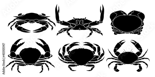 hand drawn silhouette of crab