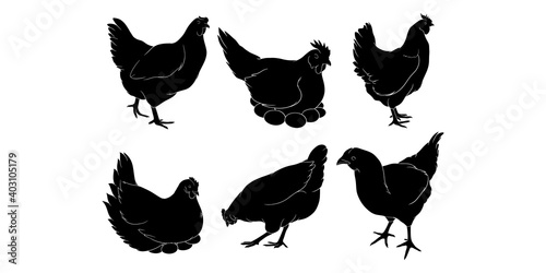 hand drawn silhouette of hen