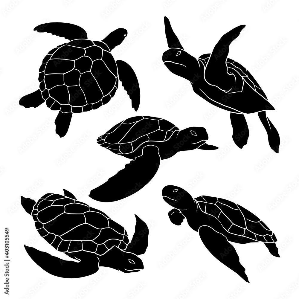 hand drawn silhouette of sea turtle Stock Vector | Adobe Stock