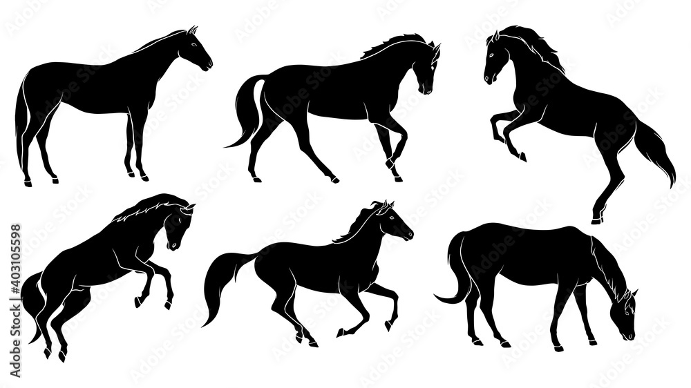 hand drawn silhouette of horse
