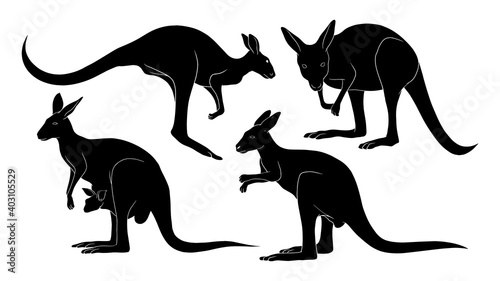 hand drawn silhouette of kangaroo