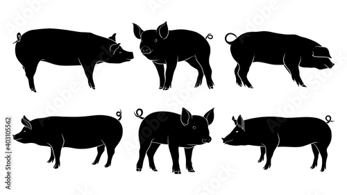 hand drawn silhouette of pig