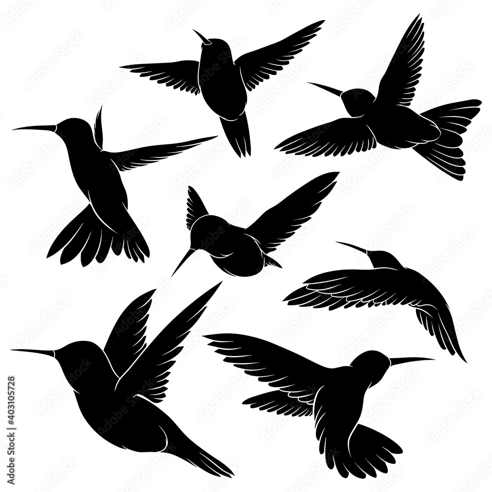 Fototapeta premium Hand drawn silhouette of hummingbird