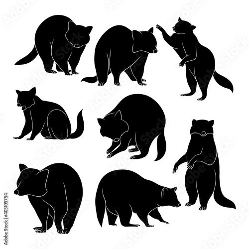 Hand drawn silhouette of racoon