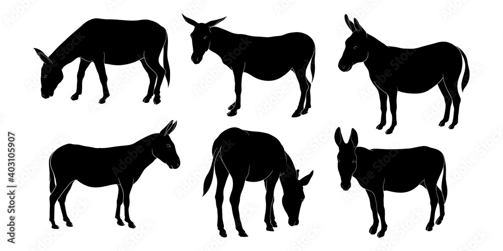 hand drawn silhouette of donkey