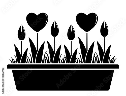 heart flowers in planter