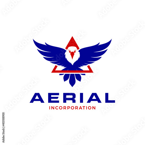 Flying Eagle business Logo Design