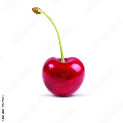 realistic vector cherry isolated on white background