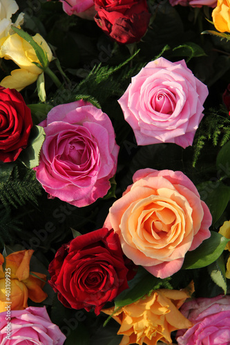 Multicolored roses in flower arrangement