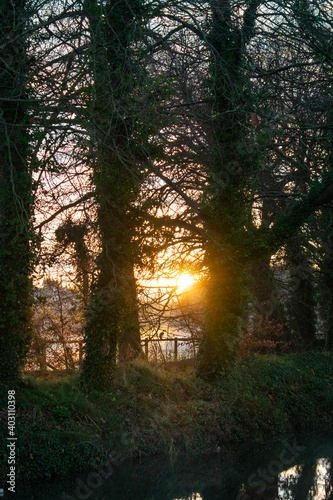 Foggy Sunrise at Irish Canal