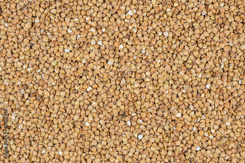 buckwheat with visible details. extura or background