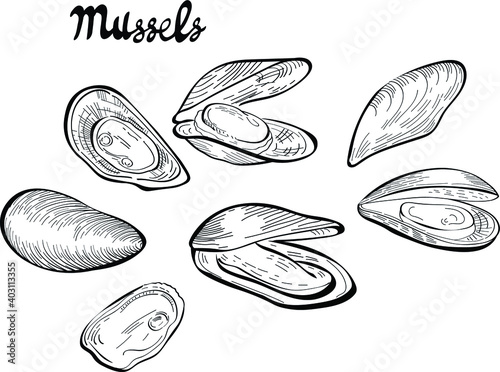 mussels food, hand drawn vector illustration and lettering isolated on white background. Concept for logo, menu, cards print 