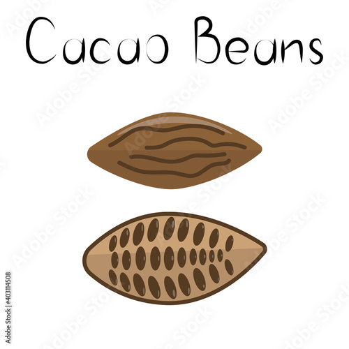 Cacao beans. Healthy detox natural product. Organik dietary supplement. Superfood for homeopathy. Cartoon vector illustration