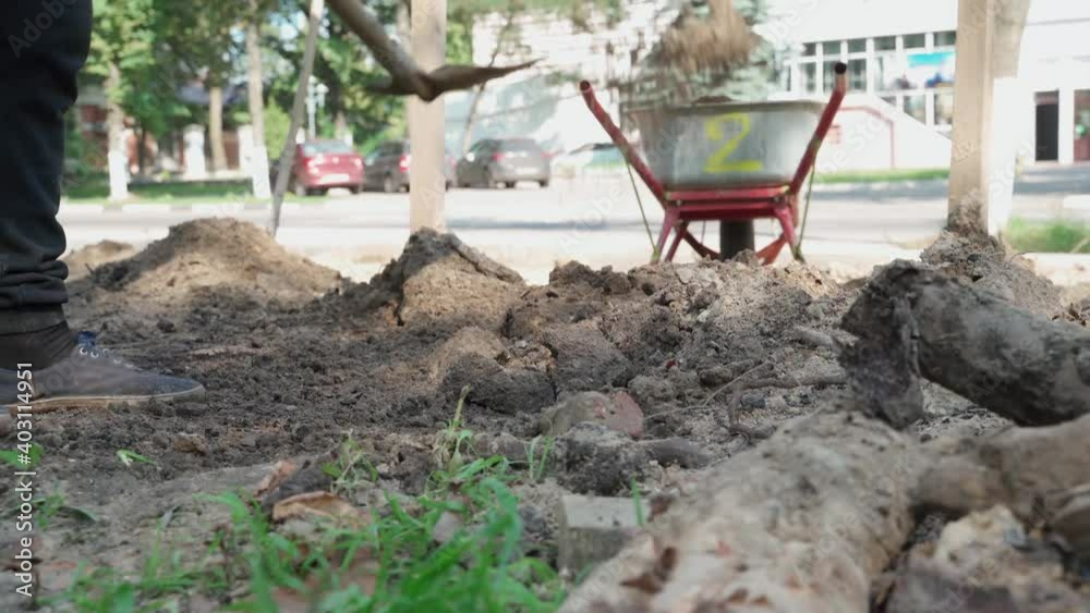 A handyman throws sand into the wheelbarrow with shovel. Improvement territory. A handyman throws sand into the wheelbarrow with shovel. Improvement territory.