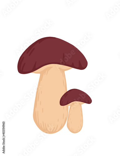 Group of Suillus mushroom fresh edible organic fungus vegetarian plant flat vector illustration isolated on white background