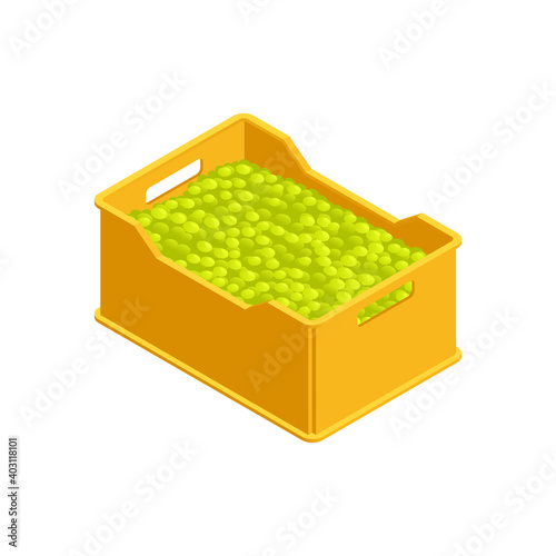 Harvest Isometric Illustration