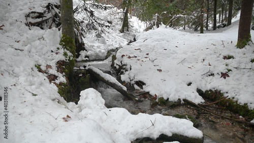 Pristine stream flowing in winter forest. Snow covering woods floor. Clean water cascading from Alps mountains in Slovenia. Untouched nature in wilderness. Static shot, real time, wide angle