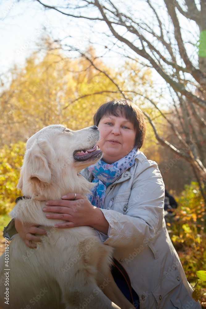 A plump woman with a white Labrador dog walking in a Park or forest on a Sunny autumn day. A plump woman with a white Labrador dog walking in a Park or forest on a Sunny autumn day.