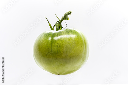 A green tomato on a white background