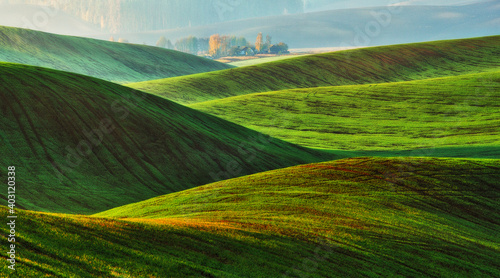 Rolling hills of green wheat fields. Amazing fairy minimalistic landscape with waves hills © sergnester