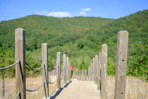 Wooden steps leading from grassed area into the forest on sunny day, selective focus, journey concept