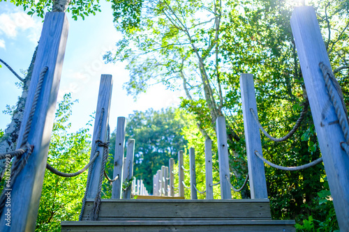 Wooden stairs in the forest, selective focus, wedding concept, Ladder of success in business growth