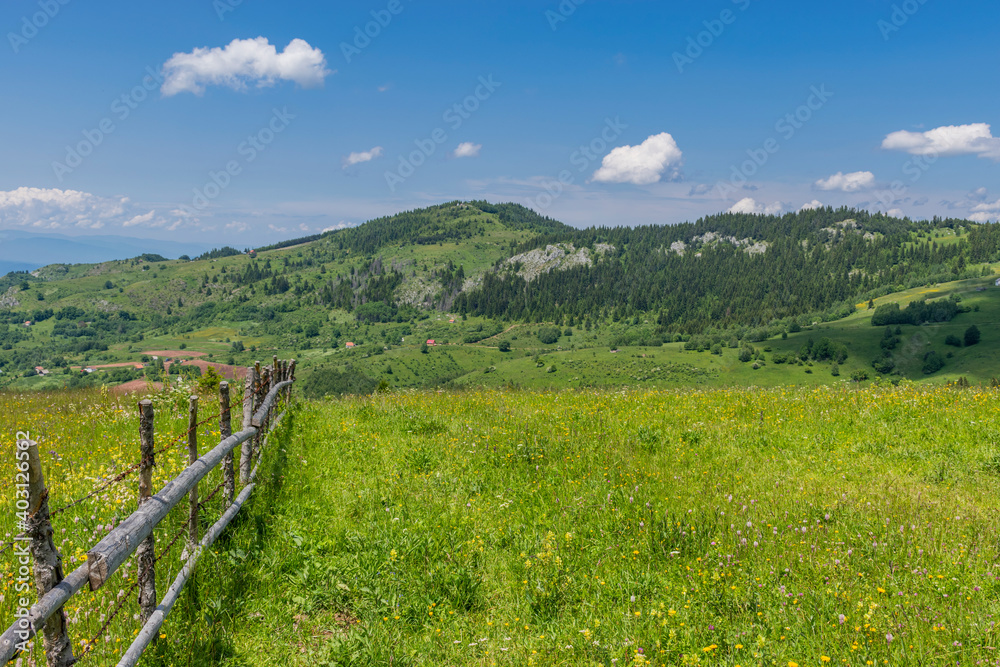 landscape with fence and grass
