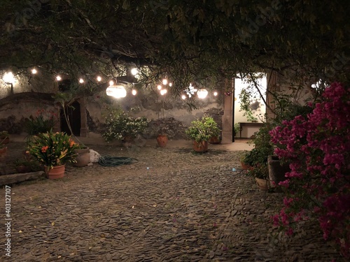 garden at night