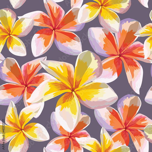 Seamless pattern pink Frangipani flowers on abstract background.Watercolor Drawing Vector illustration.