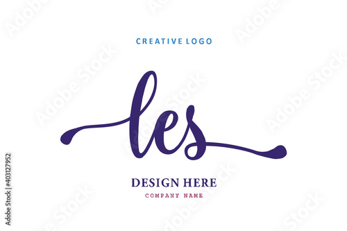 LES lettering logo is simple, easy to understand and authoritative