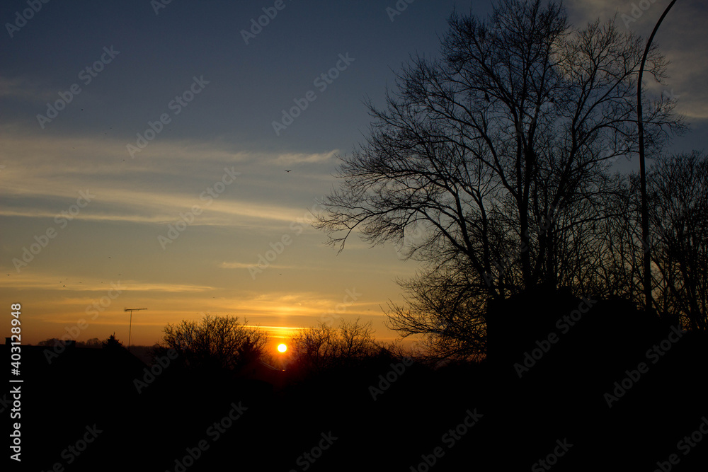 Landscape. Sunset on the background of trees and the city. Beautiful landscape. Background. Texture. Landscape. Sunset on the background of trees and the city. Beautiful landscape. Background. Texture.