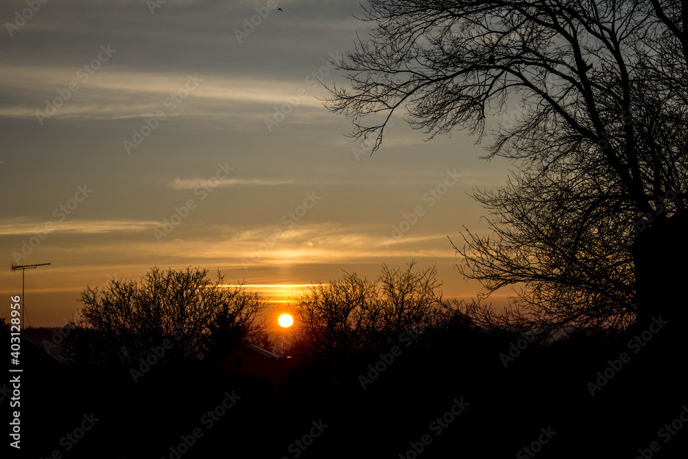 Fototapeta premium Scenery. Sunset on the background of trees and the city. Background.