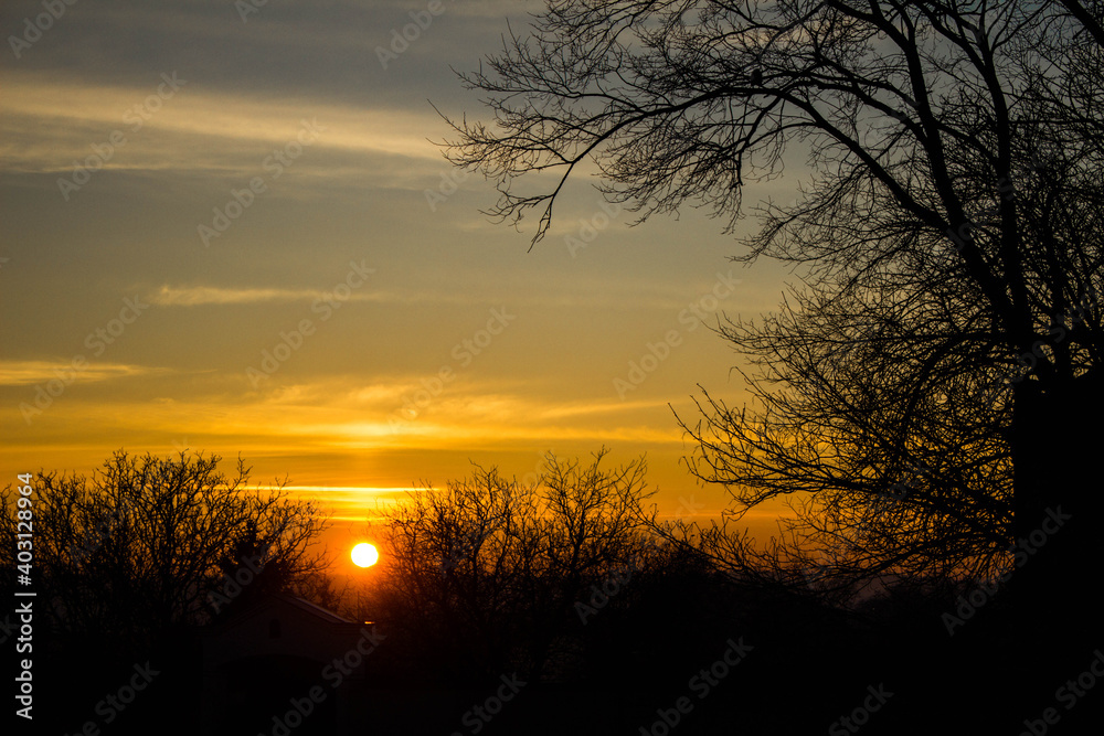 Scenery. Sunset on the background of trees and the city. Background.