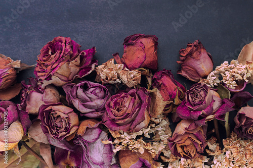 Fototapeta Naklejka Na Ścianę i Meble -  Still-life, flowers and roses dried in red, orange, violet and  pink colors on a dark and gray color background.