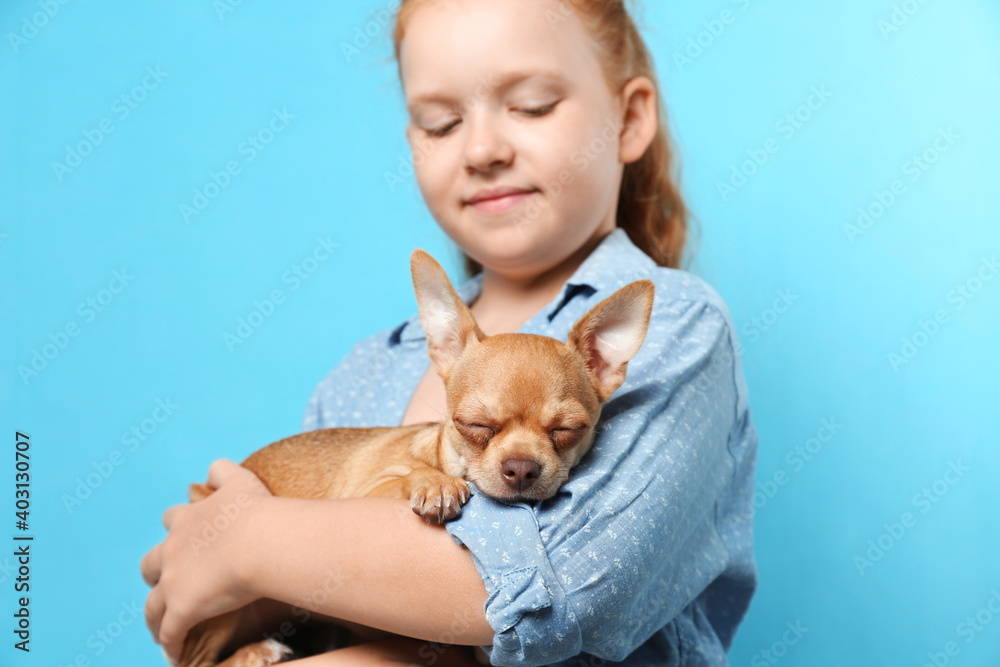 Cute little child with her Chihuahua dog on light blue background. Adorable pet Cute little child with her Chihuahua dog on light blue background. Adorable pet