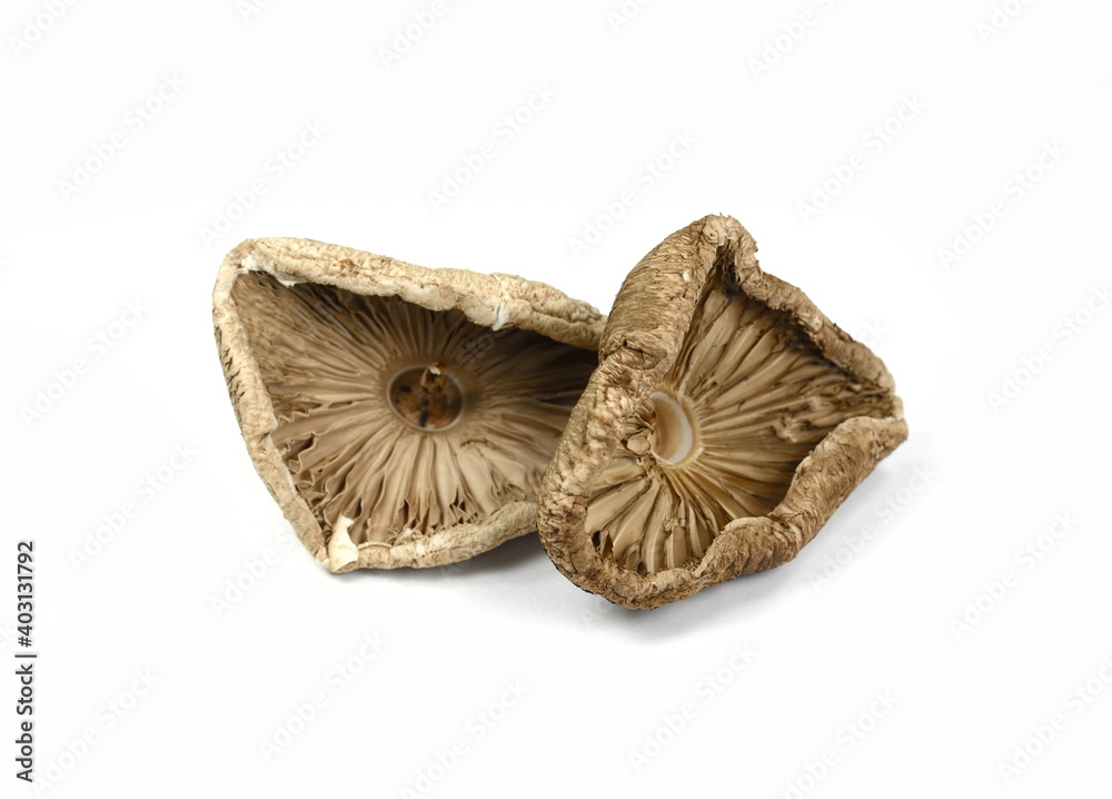 Dried mushroom isolated. Dried Parasol Mushroom (Macrolepiota procera) isolated on white background. Macrolepiota procera, Parasol mushroom, wild edible mushroom. Dried mushroom isolated. Dried Parasol Mushroom (Macrolepiota procera) isolated on white background. Macrolepiota procera, Parasol mushroom, wild edible mushroom.