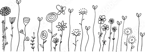 vector flowers design black and white background wallpaper