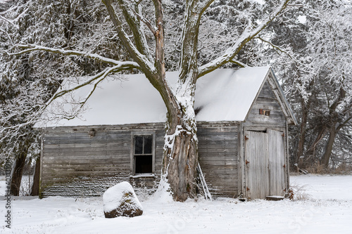 Old wooden barn in the snow on a foggy winter day. photo