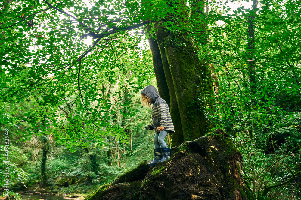 Little preschooler exploring the forest Little preschooler exploring the forest