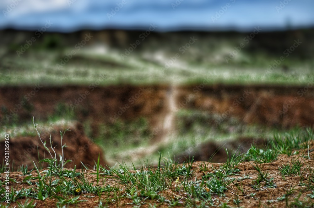 Obraz premium ravine in the forest