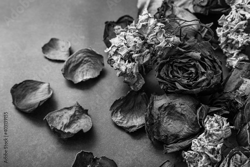 black and white flowers and roses dried on a rough background. 
