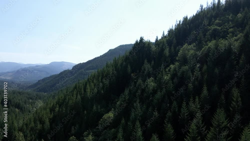 Slowly rising and panning across evergreen forest covered mountain valley, aerial