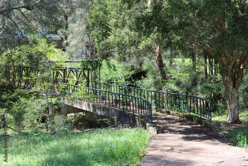 wooden bridge in the forest