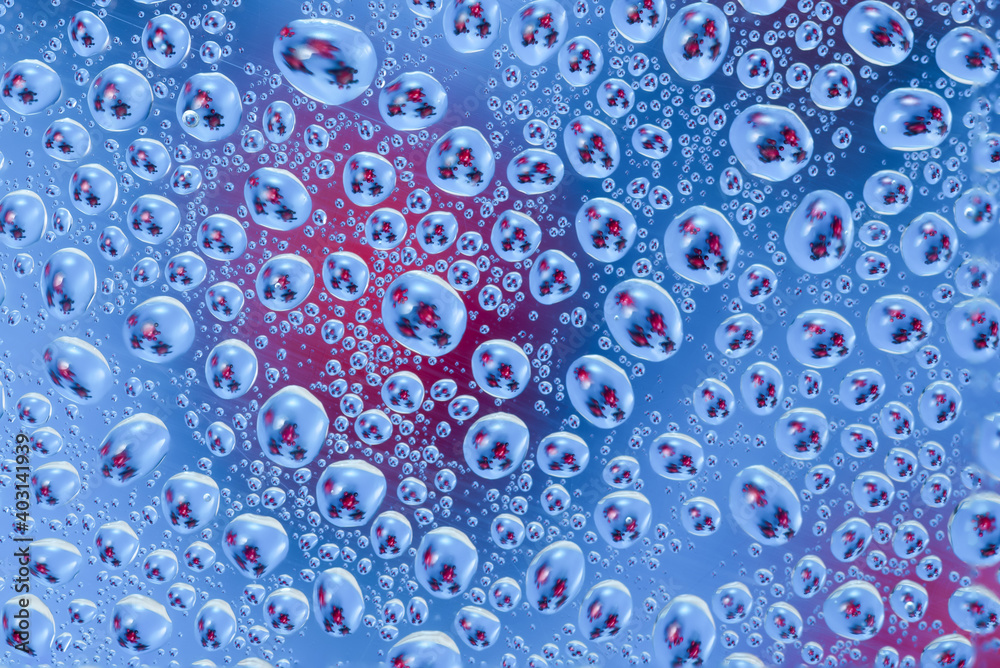 Drops with reflection of red corona virus model,Coronavirus Covid-19 outbreak,saliva that is expelled when sneezing Drops with reflection of red corona virus model,Coronavirus Covid-19 outbreak,saliva that is expelled when sneezing