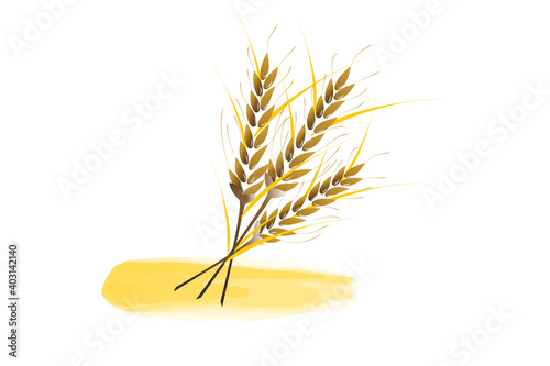Wheat seeds spikes watercolor symbol