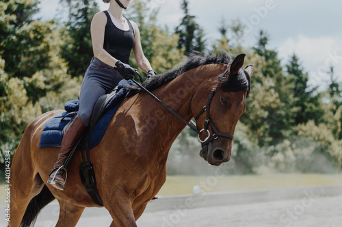 horse around barn © LaurieAnne