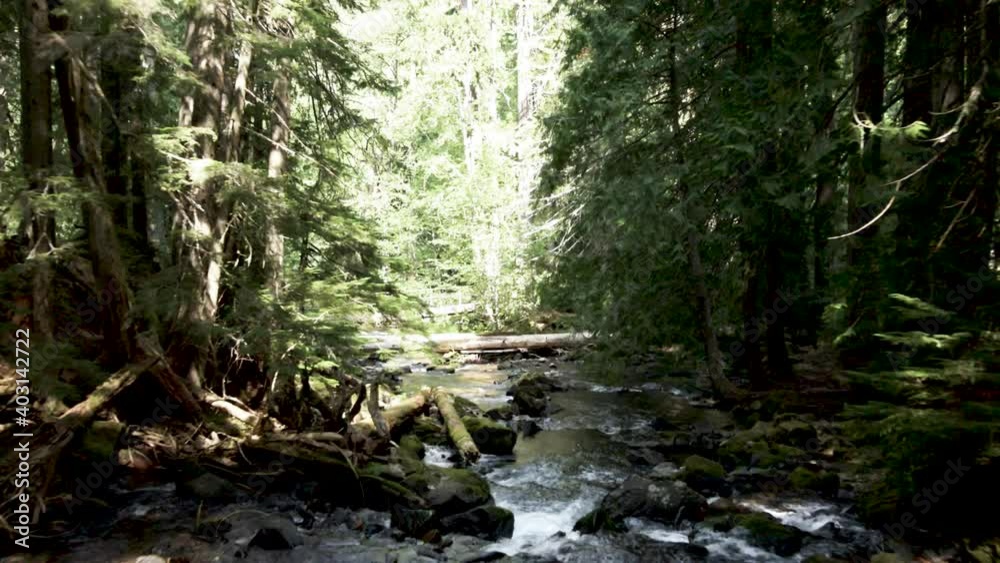 Passing slowly over a natural log strewn hidden mountain creek, aerial Passing slowly over a natural log strewn hidden mountain creek, aerial