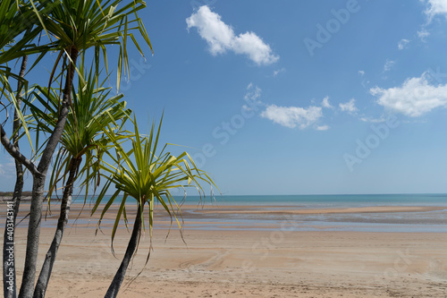 Obraz na płótnie Pandanus trees at Mindil Beach, Darwin.