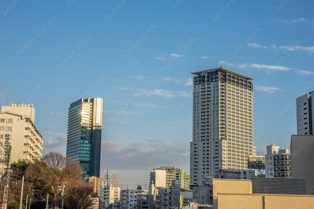 東京 高層ビルの建つ風景 東京 高層ビルの建つ風景