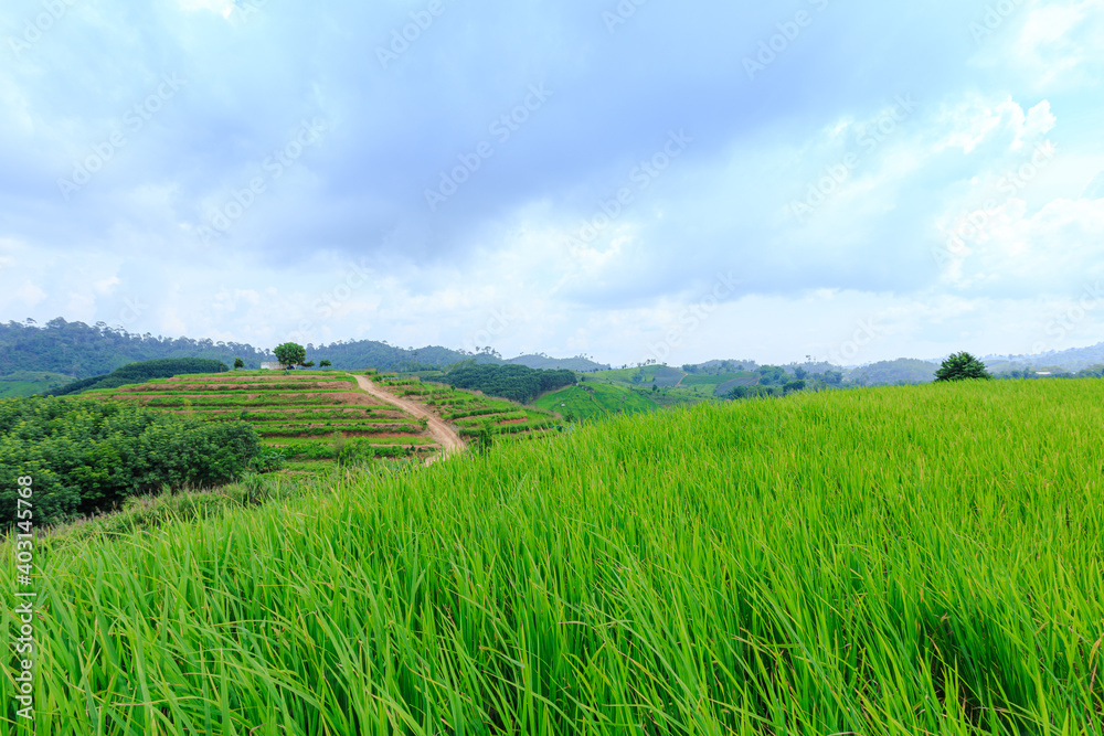 Rice terraces On the high mountains of northern Thailand Rice terraces On the high mountains of northern Thailand